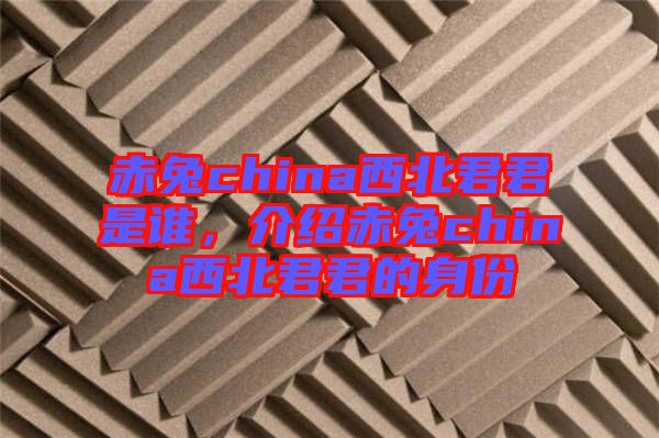 赤兔china西北君君是誰(shuí)，介紹赤兔china西北君君的身份