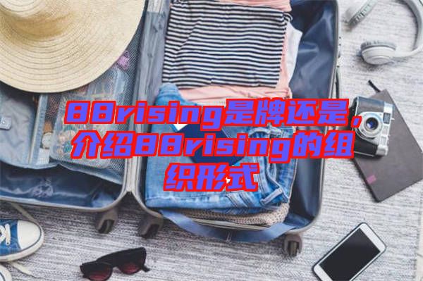 88rising是牌還是，介紹88rising的組織形式