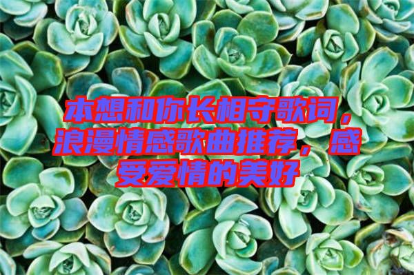 本想和你長相守歌詞，浪漫情感歌曲推薦，感受愛情的美好