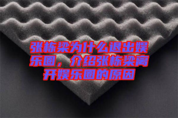 張棟梁為什么退出娛樂圈，介紹張棟梁離開娛樂圈的原因
