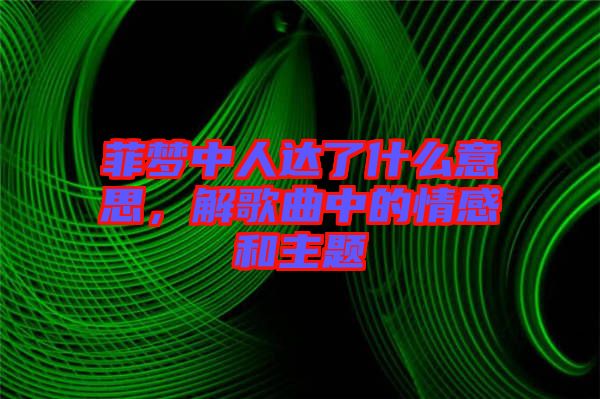 菲夢中人達了什么意思，解歌曲中的情感和主題