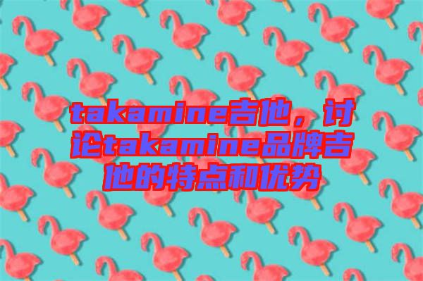 takamine吉他，討論takamine品牌吉他的特點和優勢