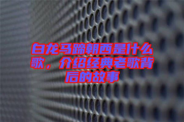 白龍馬蹄朝西是什么歌，介紹經典老歌背后的故事