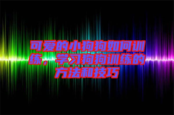 可愛的小狗狗如何訓練，學習狗狗訓練的方法和技巧