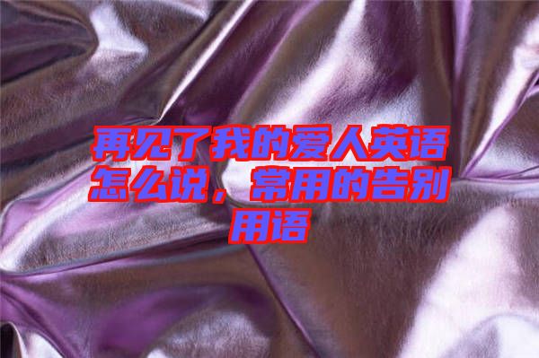 再見了我的愛人英語怎么說，常用的告別用語