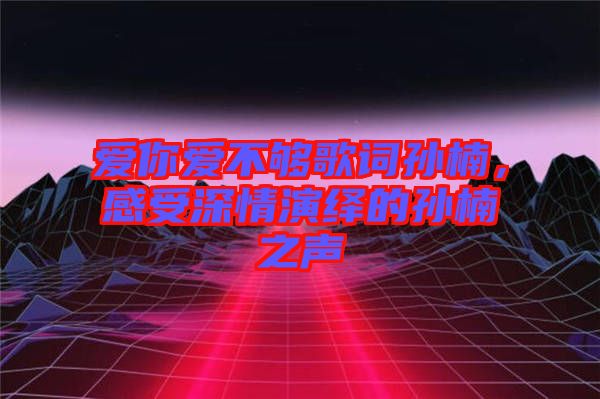 愛你愛不夠歌詞孫楠，感受深情演繹的孫楠之聲
