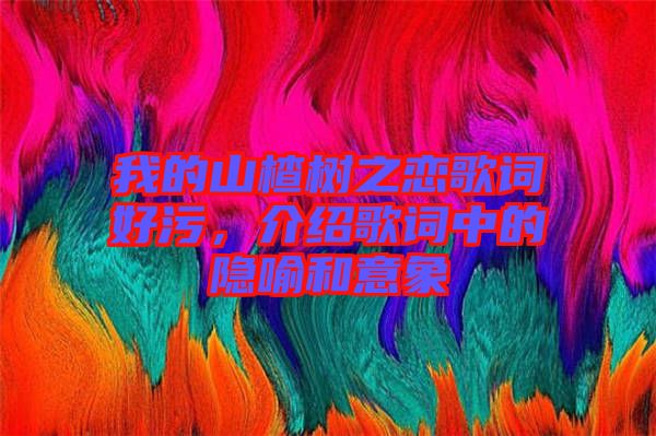 我的山楂樹之戀歌詞好污，介紹歌詞中的隱喻和意象