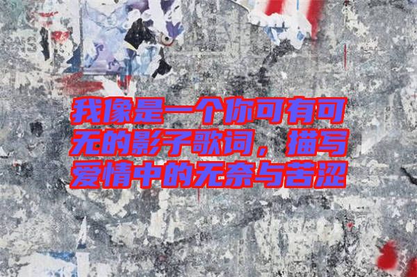 我像是一個(gè)你可有可無(wú)的影子歌詞，描寫(xiě)愛(ài)情中的無(wú)奈與苦澀