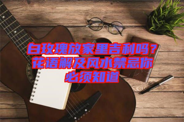 白玫瑰放家里吉利嗎？花語(yǔ)解及風(fēng)水禁忌你必須知道