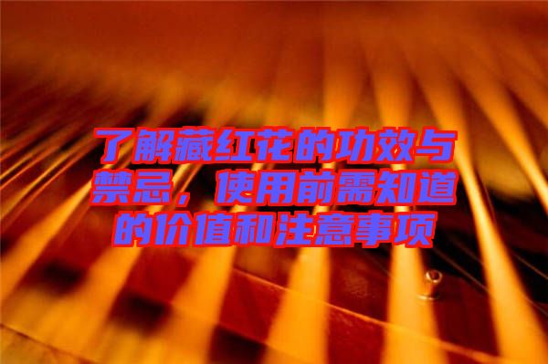 了解藏紅花的功效與禁忌，使用前需知道的價值和注意事項