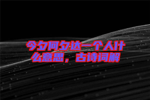 今夕何夕達一個人什么意思，古詩詞解