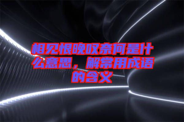 相見恨晚嘆奈何是什么意思，解常用成語的含義