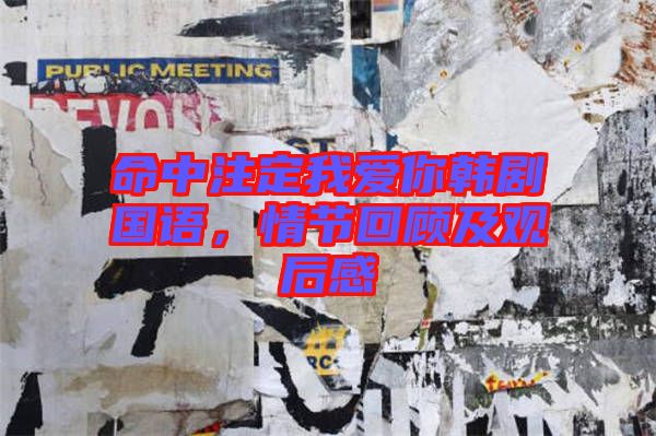 命中注定我愛你韓劇國語，情節回顧及觀后感