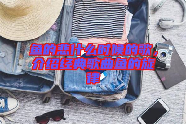 魚的悲什么時候的歌，介紹經典歌曲魚的旋律