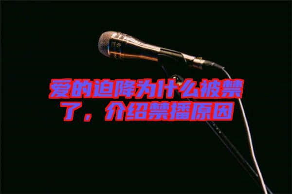 愛的迫降為什么被禁了，介紹禁播原因