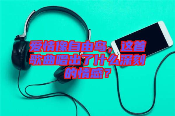 愛情像自由鳥，這首歌曲唱出了什么深刻的情感？