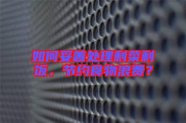 如何妥善處理剩菜剩飯，節(jié)約食物浪費？