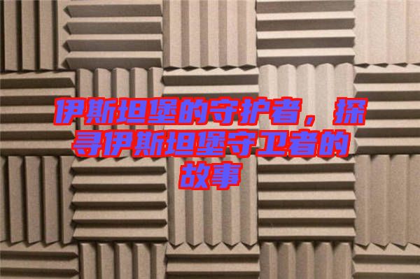 伊斯坦堡的守護者，探尋伊斯坦堡守衛者的故事