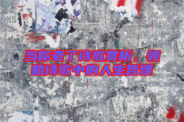 當你老了詩歌賞析，領略詩歌中的人生哲理