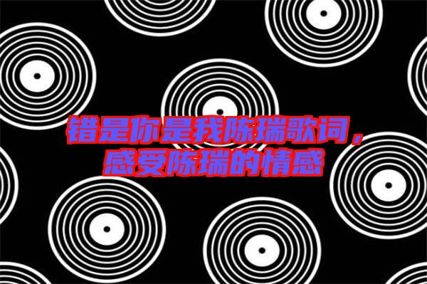 錯是你是我陳瑞歌詞，感受陳瑞的情感