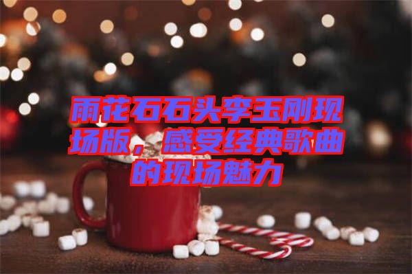 雨花石石頭李玉剛現場版，感受經典歌曲的現場魅力