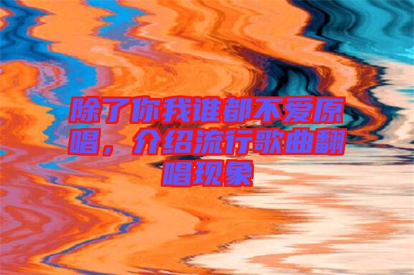 除了你我誰都不愛原唱，介紹流行歌曲翻唱現(xiàn)象