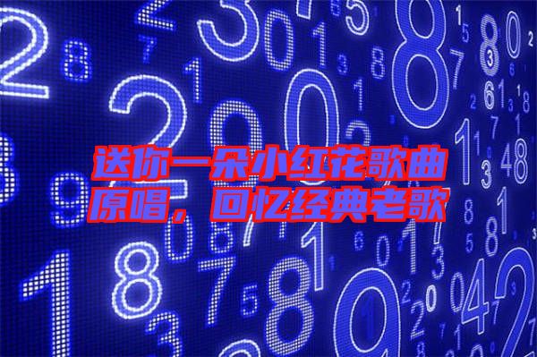 送你一朵小紅花歌曲原唱，回憶經(jīng)典老歌