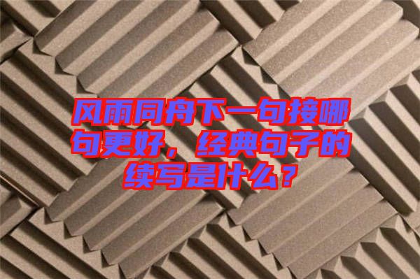 風(fēng)雨同舟下一句接哪句更好，經(jīng)典句子的續(xù)寫(xiě)是什么？