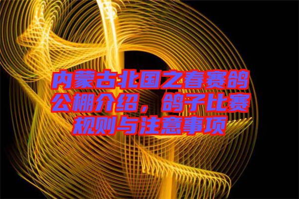 內蒙古北國之春賽鴿公棚介紹，鴿子比賽規則與注意事項