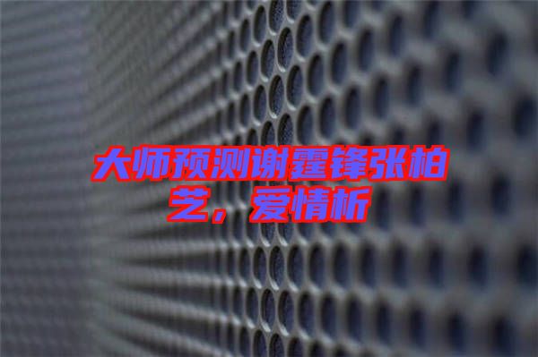 大師預測謝霆鋒張柏芝，愛情析