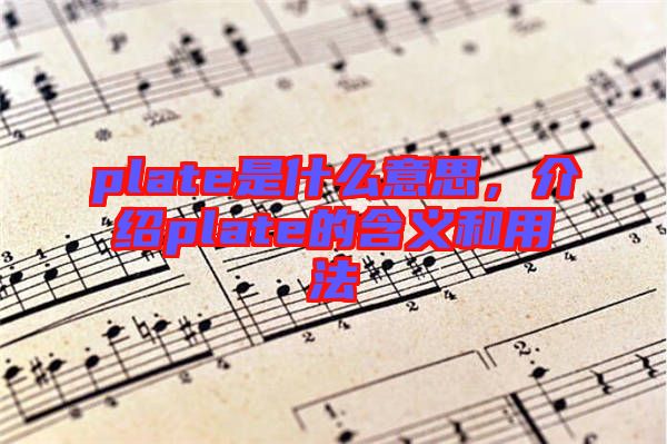 plate是什么意思，介紹plate的含義和用法