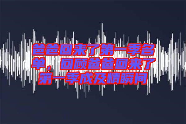 爸爸回來了第一季名單，回顧爸爸回來了第一季成及精瞬間