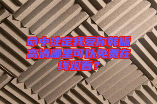 命中注定我愛你韓版高清哪里可以免費在線觀看？