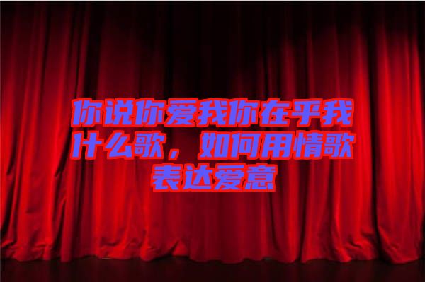 你說你愛我你在乎我什么歌，如何用情歌表達愛意