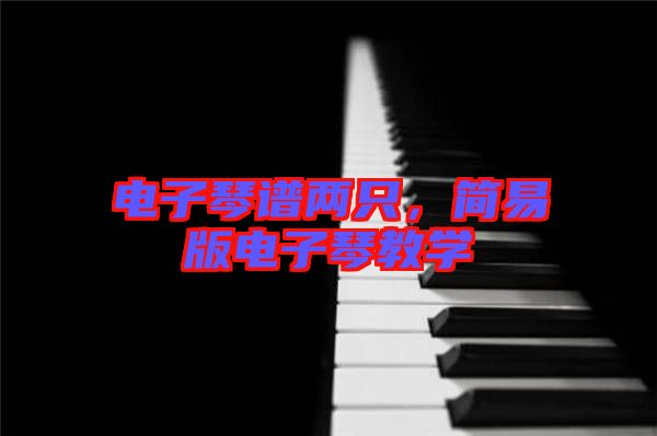 電子琴譜兩只，簡易版電子琴教學