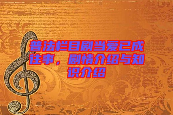 普法欄目劇當愛已成往事，劇情介紹與知識介紹