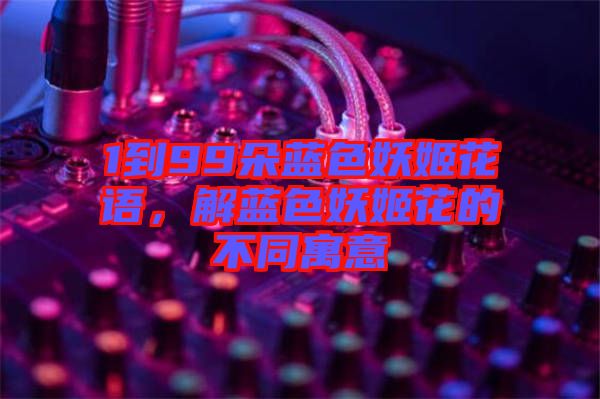 1到99朵藍色妖姬花語，解藍色妖姬花的不同寓意