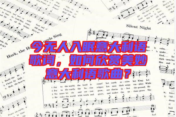 今無人入眠意大利語歌詞，如何欣賞美妙意大利語歌曲？