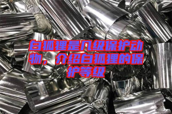白狐貍是幾級保護動物，介紹白狐貍的保護等級