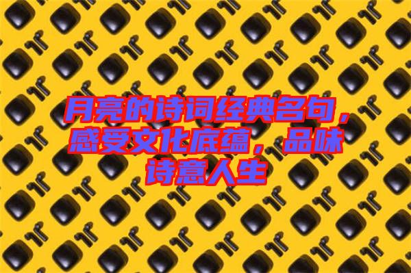 月亮的詩詞經典名句，感受文化底蘊，品味詩意人生