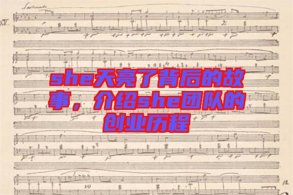 she天亮了背后的故事，介紹she團隊的創業歷程