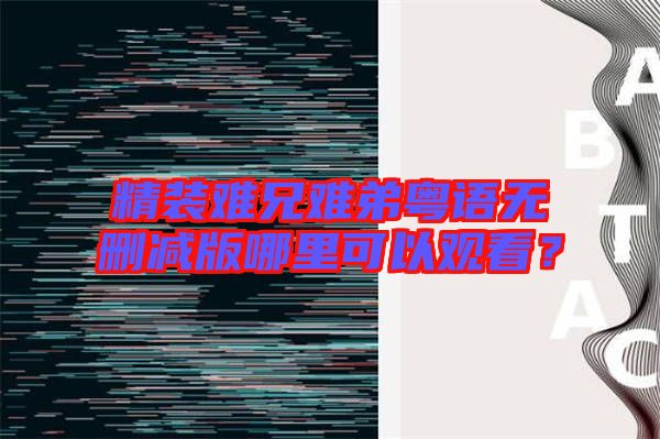 精裝難兄難弟粵語無刪減版哪里可以觀看？