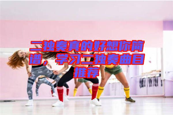 二獨奏真的好想你簡譜，學習二獨奏曲目推薦