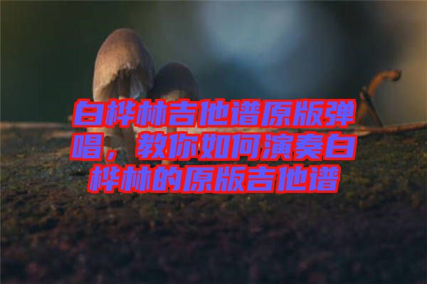 白樺林吉他譜原版彈唱，教你如何演奏白樺林的原版吉他譜
