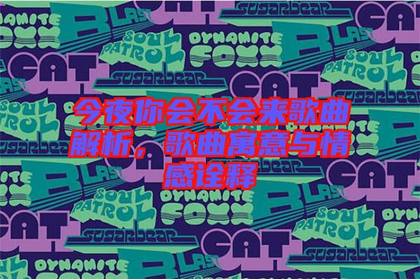 今夜你會不會來歌曲解析，歌曲寓意與情感詮釋