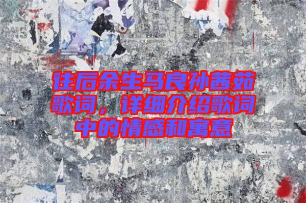 往后余生馬良孫茜茹歌詞，詳細介紹歌詞中的情感和寓意