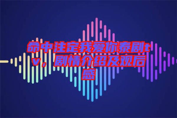 命中注定我愛你泰劇tv，劇情介紹及觀后感