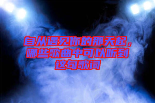 自從遇見你的那天起，哪些歌曲中可以聽到這句歌詞