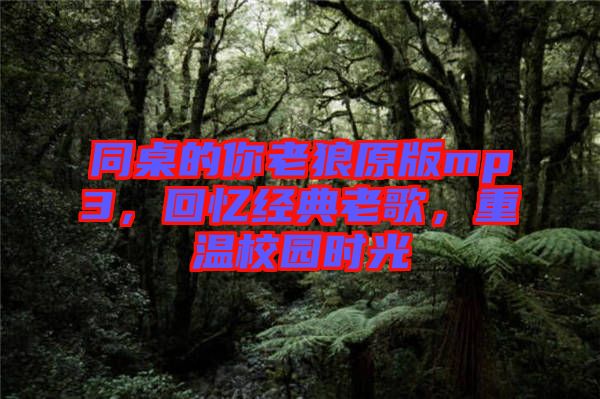 同桌的你老狼原版mp3，回憶經典老歌，重溫校園時光