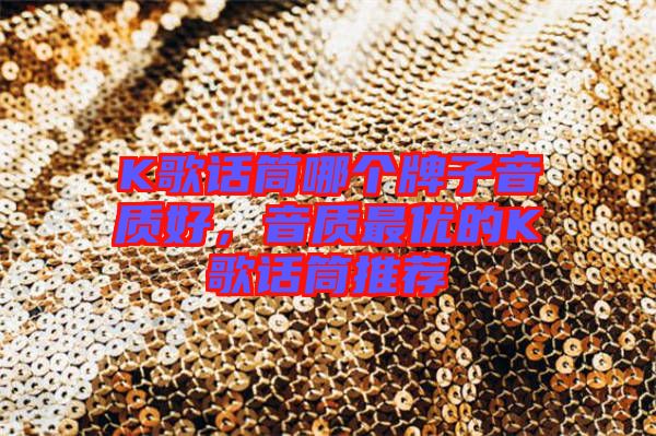 K歌話筒哪個牌子音質(zhì)好，音質(zhì)最優(yōu)的K歌話筒推薦